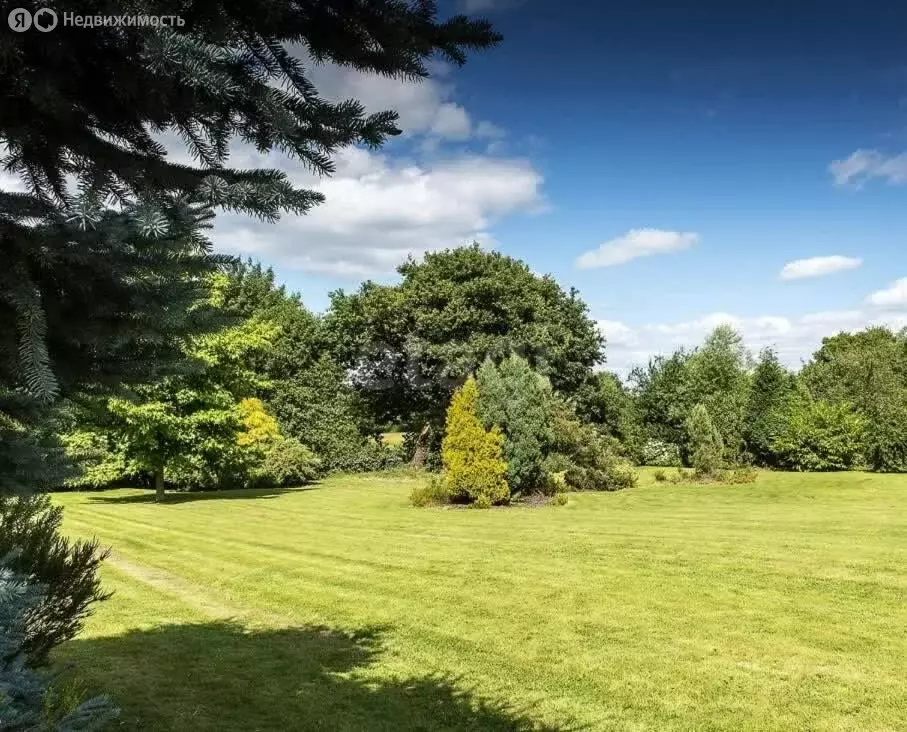 Участок в Тюменская область, Нижнетавдинский муниципальный округ, ... - Фото 2