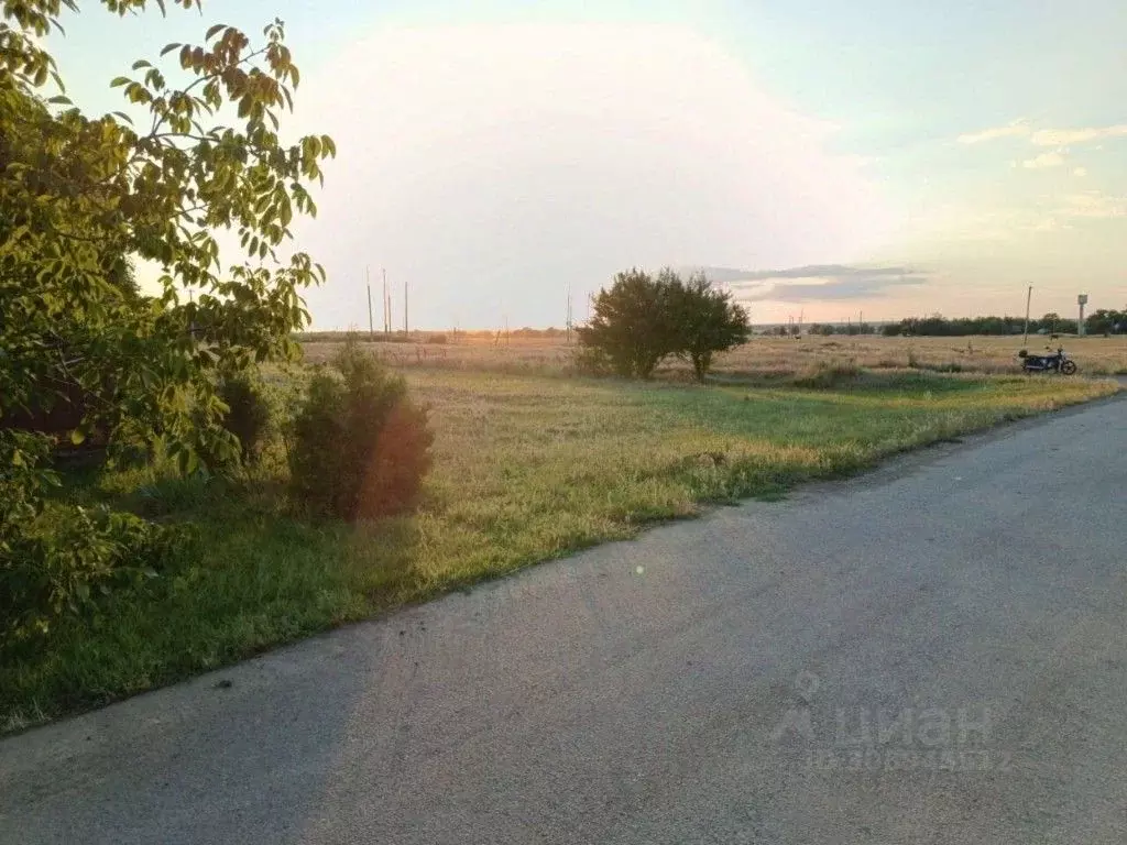 Участок в Ростовская область, Сальский район, с. Крученая Балка ... - Фото 1