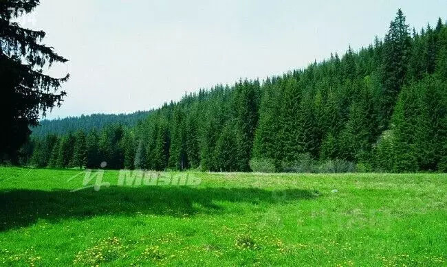Участок в Свердловская область, Нижний Тагил Тенистая ул. (14.24 сот.) - Фото 1