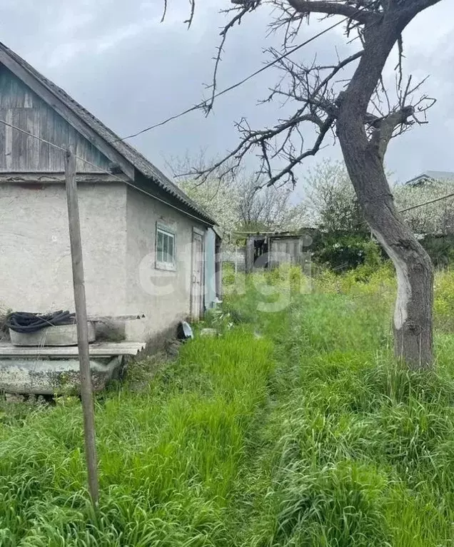 Дом в Краснодарский край, Новороссийск городской округ, с. Мысхако ул. ... - Фото 1