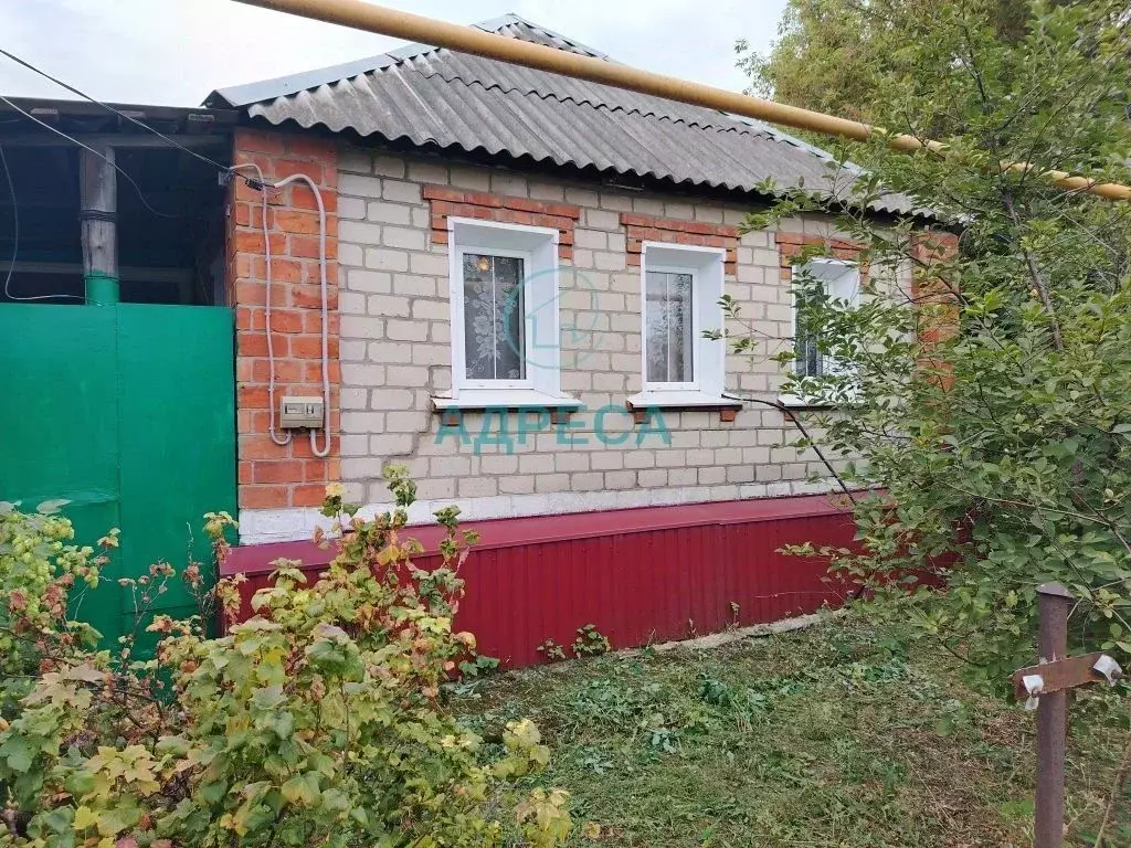 Дом в Белгородская область, Новый Оскол Спортивная ул. (36 м) - Фото 1