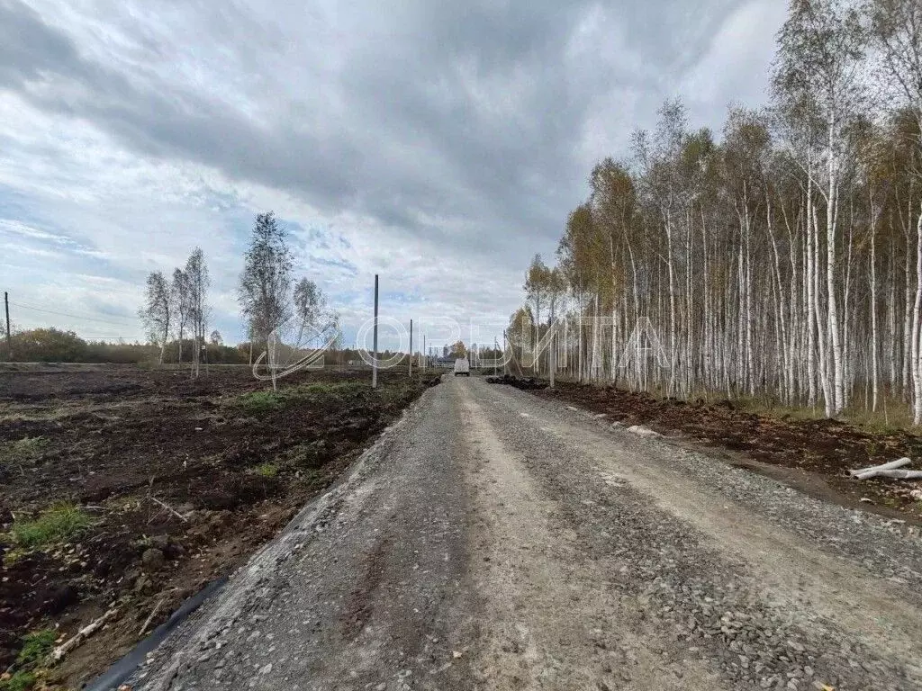 Участок в Тюменская область, Исетский муниципальный округ, д. ... - Фото 2