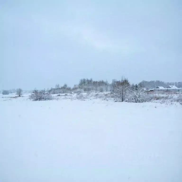 Участок в Тульская область, Донской Задонье мкр, Трудовая ул. (15.0 ... - Фото 1