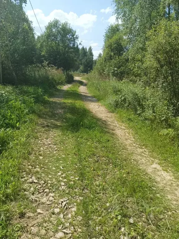 Участок в Калужская область, Тарусский район, Алекино с/пос, Песочное ... - Фото 2