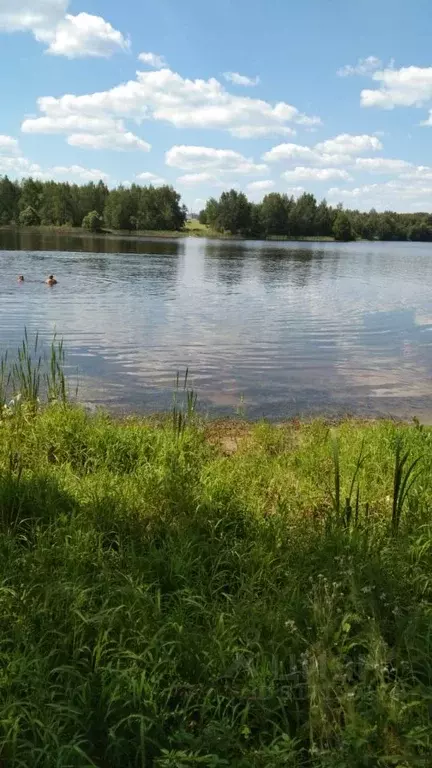 Дом в Московская область, Ступино городской округ, Жилево СНТСН ул. ... - Фото 0