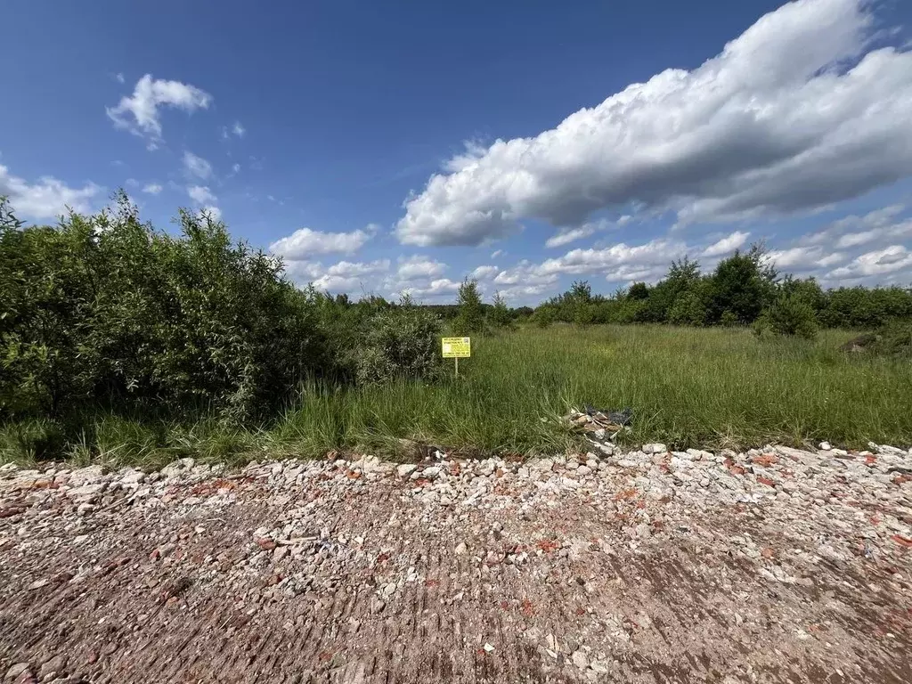 Участок в Московская область, Богородский городской округ, Следово кп ... - Фото 2