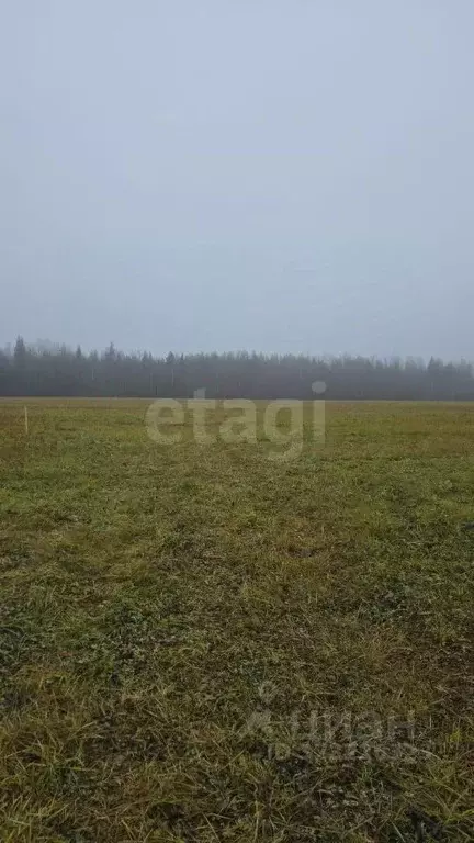 Участок в Коми, Корткеросский район, Додзь муниципальное образование, ... - Фото 2