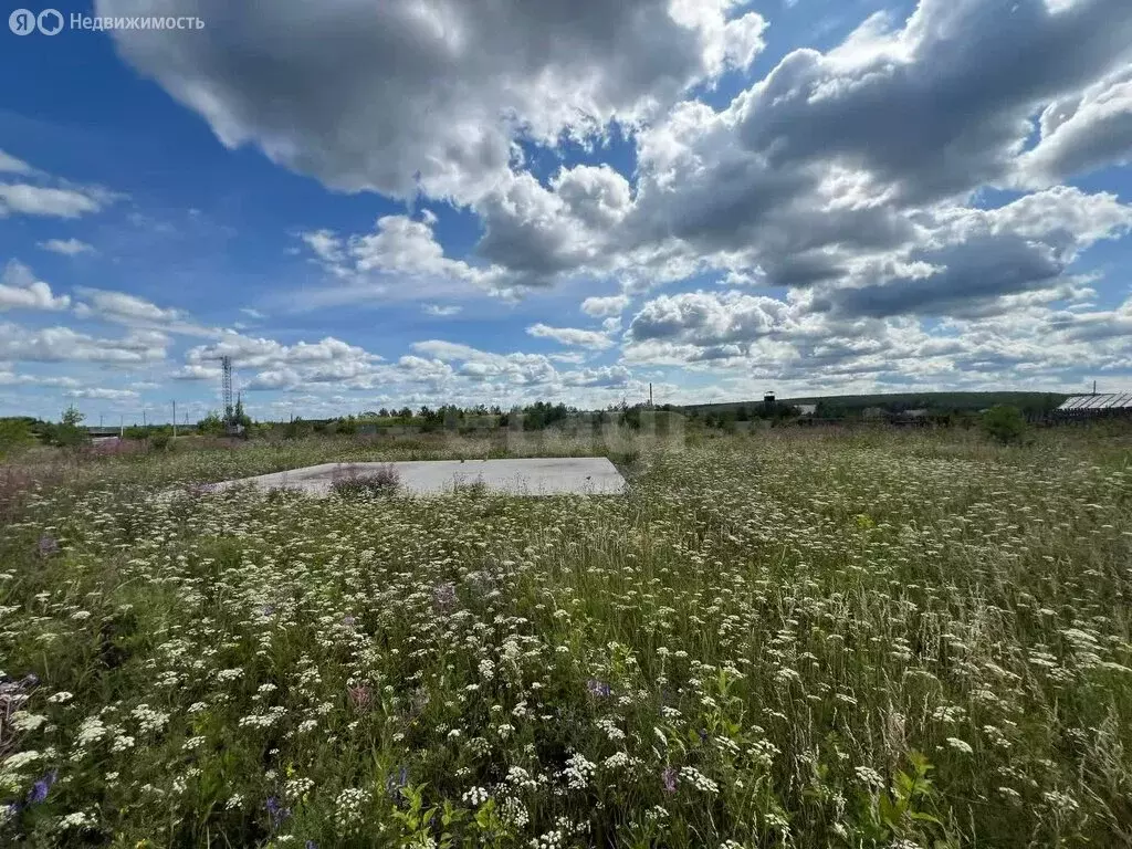 Участок в Алапаевск, Родонитовая улица (10 м) - Фото 1