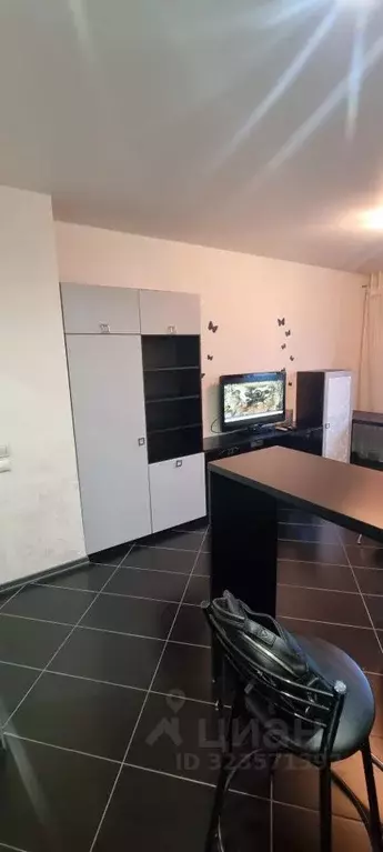 Студия Санкт-Петербург Туристская ул., 28к3 (27.3 м) - Фото 2