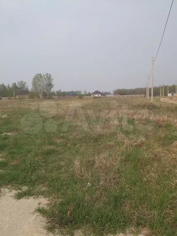 Участок 10 сот. (СНТ, ДНП) - Фото 0