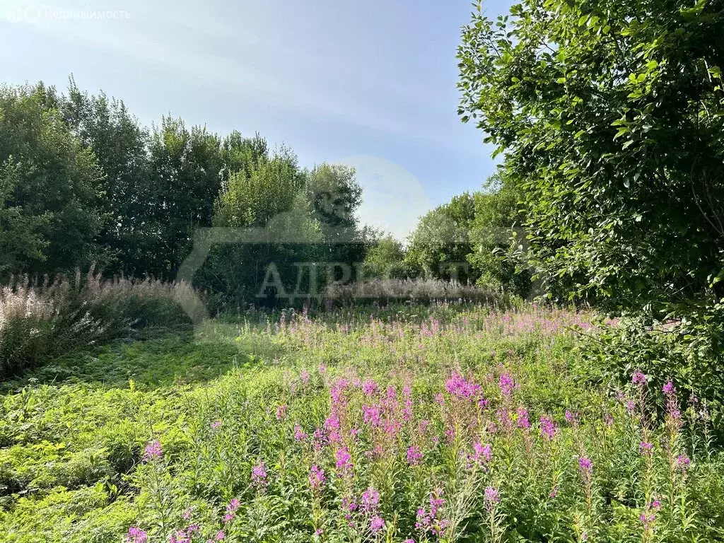 Участок в Ломоносовский район, деревня Гостилицы (10 м) - Фото 1