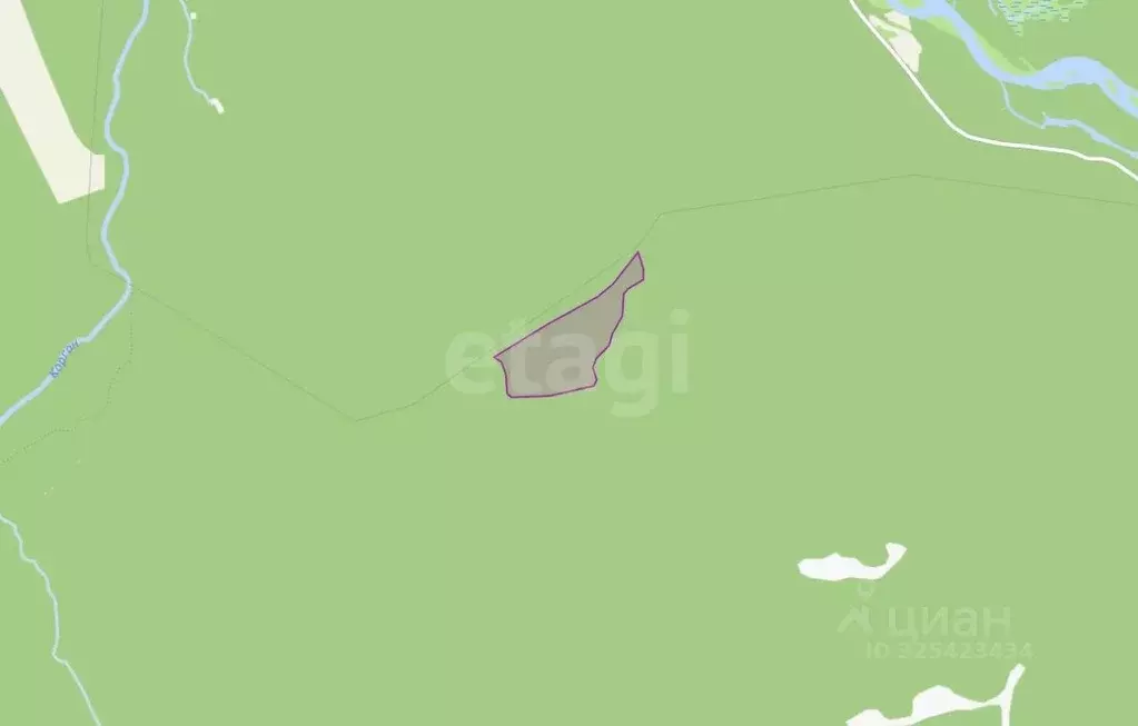 Участок в Алтай, Усть-Канский район, с. Владимировка  (2950.0 сот.) - Фото 1