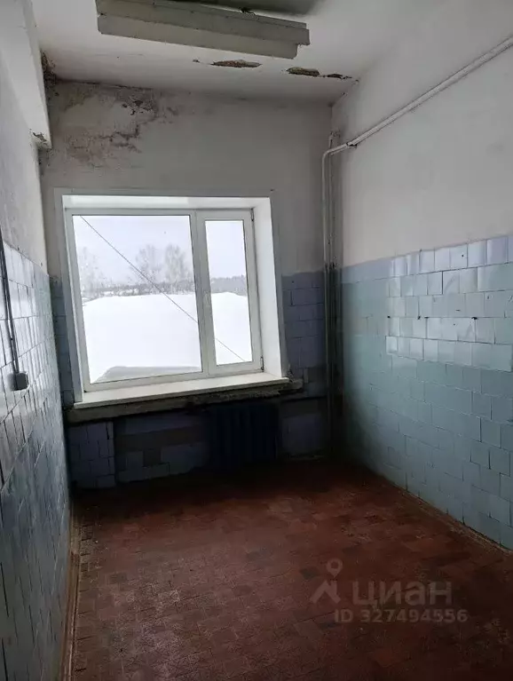 Помещение свободного назначения в Пермский край, с. Карагай ул. ... - Фото 2