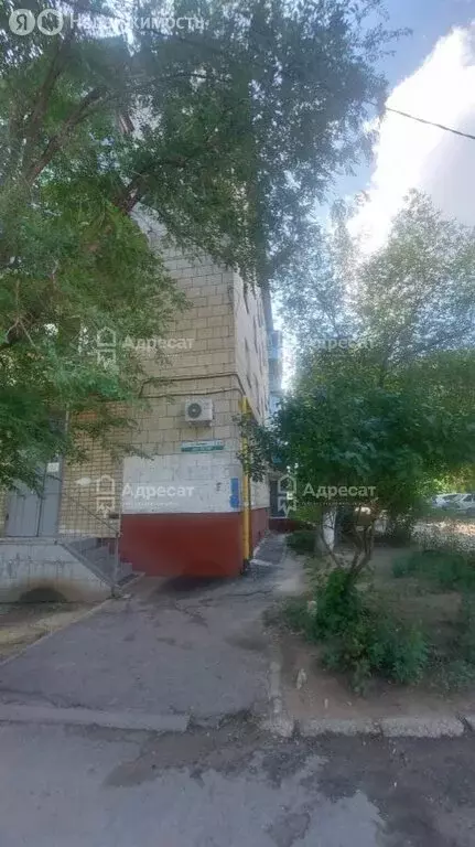 Помещение свободного назначения (45.6 м) - Фото 1