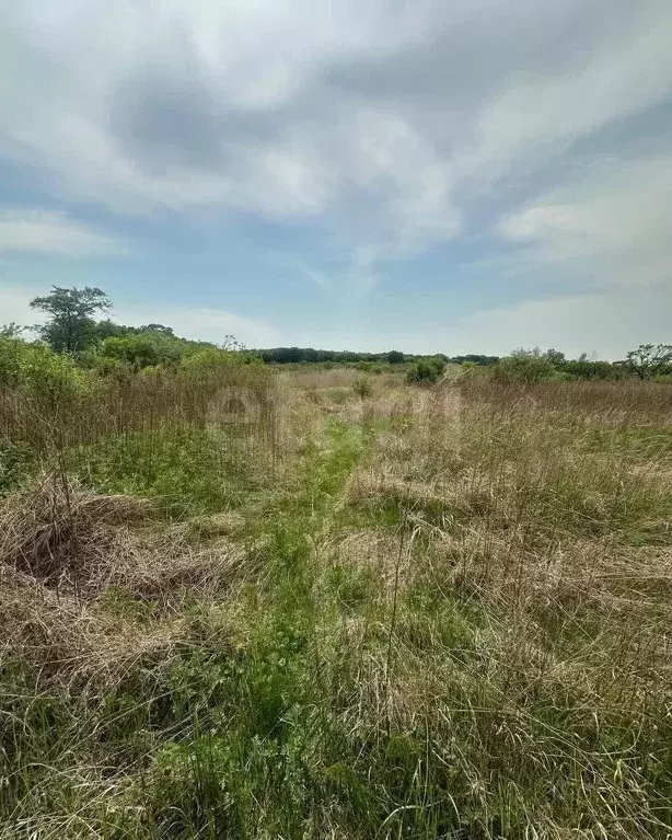 Участок, 17.7 сот., поселения (ижс) - Фото 1