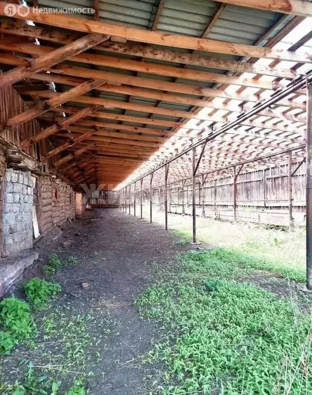 Участок в посёлок Прутской, Набережная улица (54 м) - Фото 2