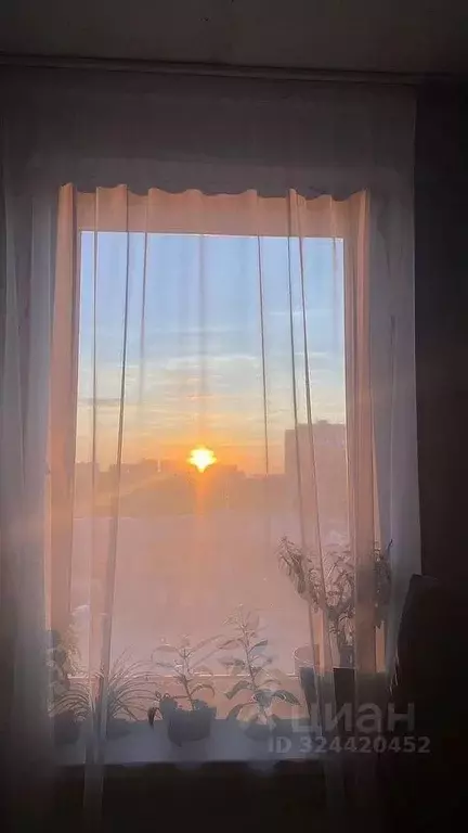 1-к кв. Тюменская область, Тюмень ул. Надира Сагдеева, 6 (29.0 м) - Фото 1