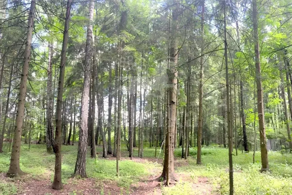 Участок в Москва № 411 кв-л,  (392.29 сот.) - Фото 2