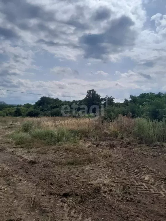 Участок в Белгородская область, Белгородский район, Разумное рп ул. ... - Фото 1