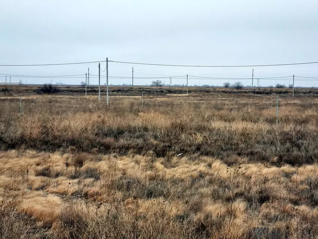 Участок в Волгоградская область, Волжский пос. Краснооктябрьский, ул. ... - Фото 1