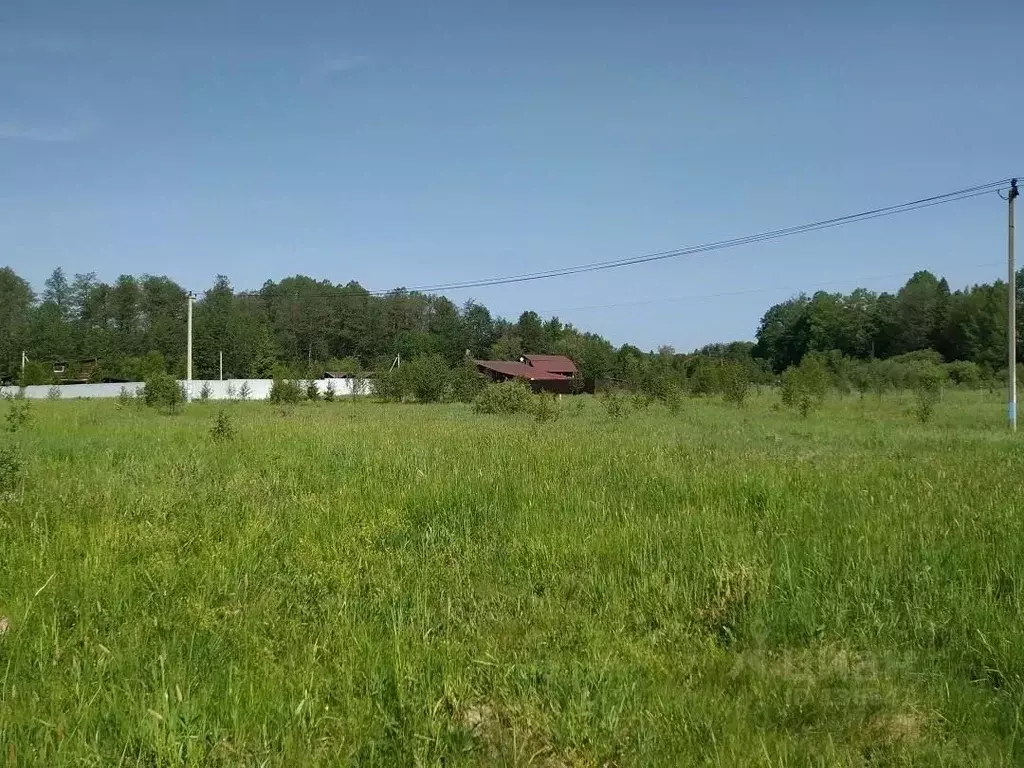 Участок в Московская область, Чехов муниципальный округ, д. Ишино  ... - Фото 2