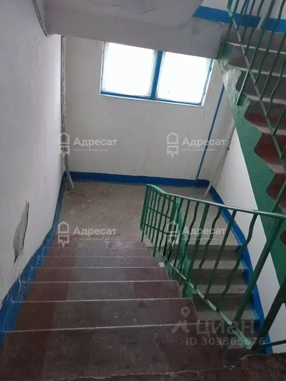 2-к кв. Волгоградская область, Волгоград ул. Одоевского, 56 (52.6 м) - Фото 0