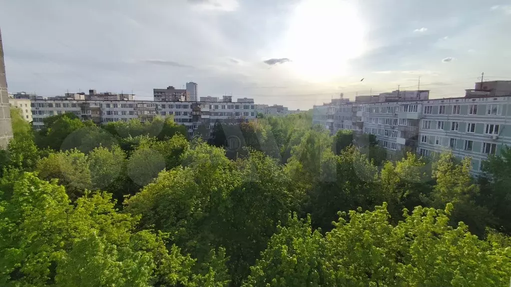 3-к. квартира, 65 м, 9/9 эт. - Фото 1