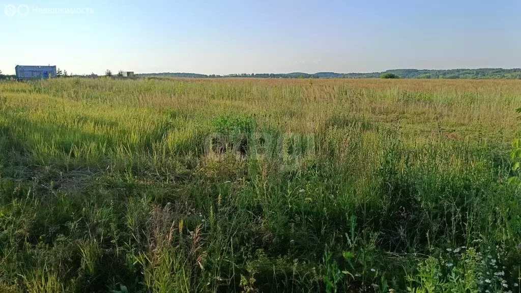 Участок в Лямбирский район, Пензятское сельское поселение, село ... - Фото 1