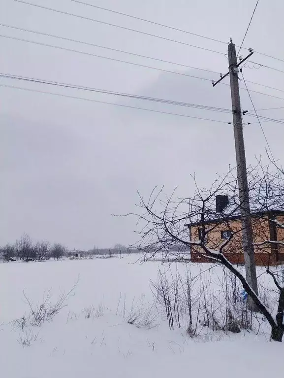 Участок в Краснодарский край, Кавказская ст-ца ул. Демьяна Бедного ... - Фото 0