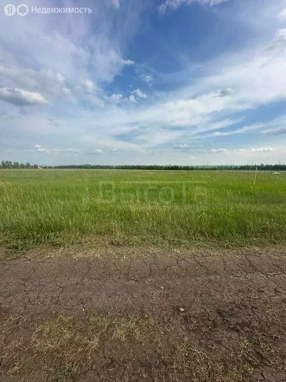 Участок в село Александровка, Рябиновая улица, 3 (9 м) - Фото 0