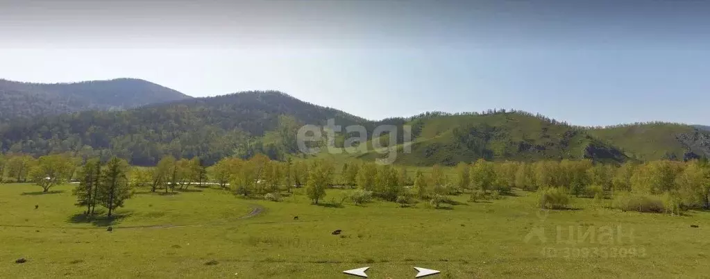 Участок в Алтай, Шебалинский район, с. Шебалино  (255.5 сот.) - Фото 1