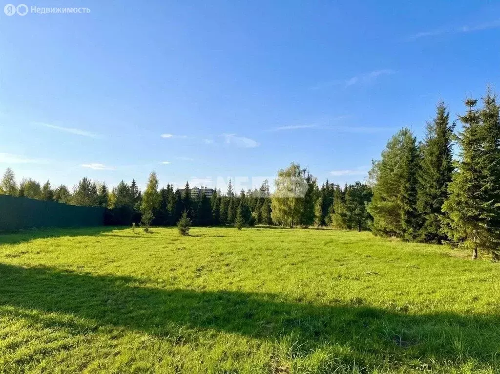 Участок в деревня Захарово, КП Агаларов эстэйт (45 м) - Фото 2