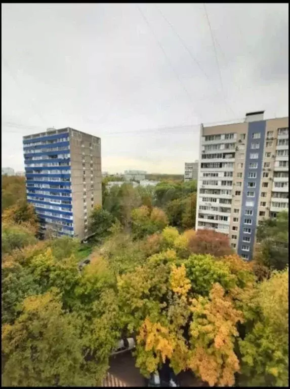 3-к. квартира, 65 м, 10/14 эт. - Фото 0