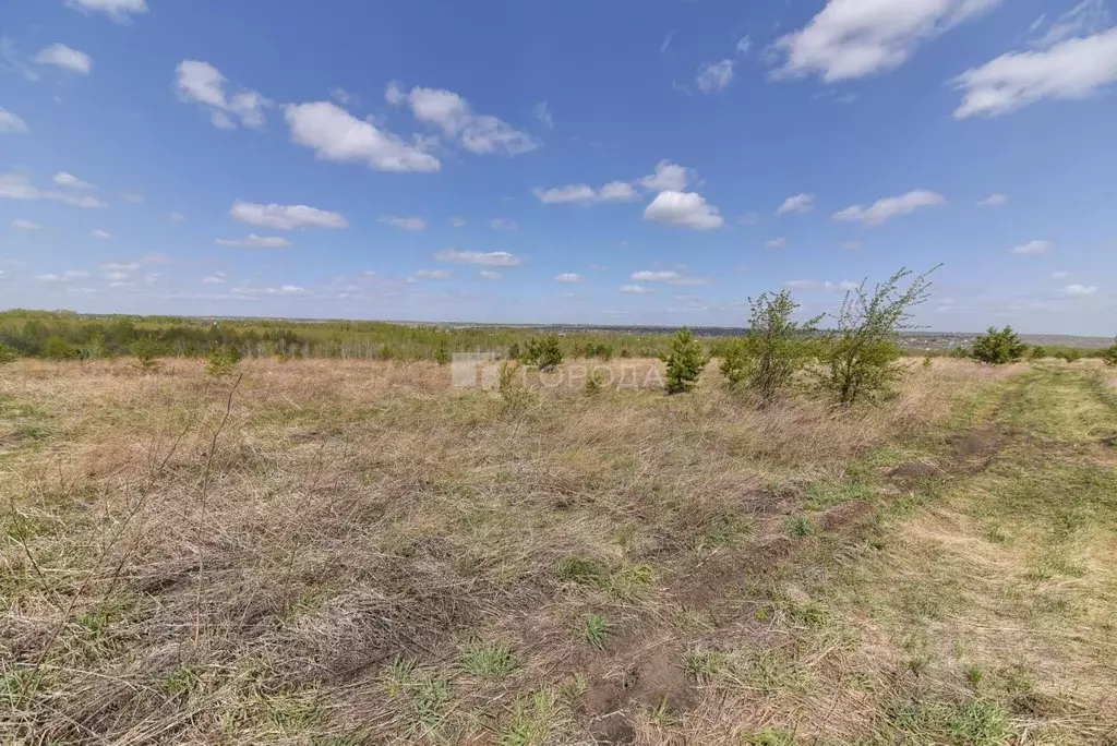 Участок в Алтайский край, Барнаул городской округ, пос. Бельмесево ул. ... - Фото 2