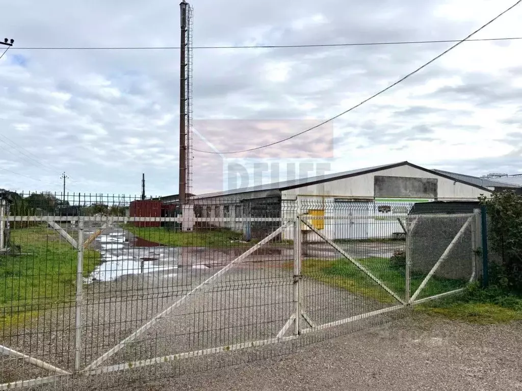 Склад в Калининградская область, Гурьевский муниципальный округ, пос. ... - Фото 2