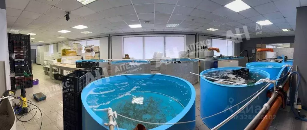 Помещение свободного назначения в Московская область, Реутов ул. ... - Фото 1