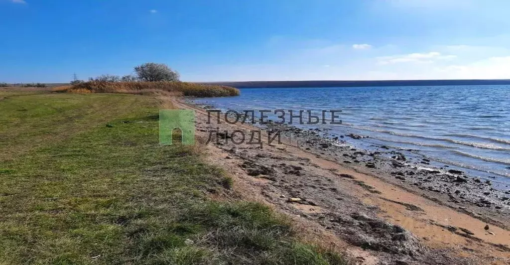 Участок в Крым, Сакский район, Ромашкинское с/пос, с. Колоски  (1.0 ... - Фото 1