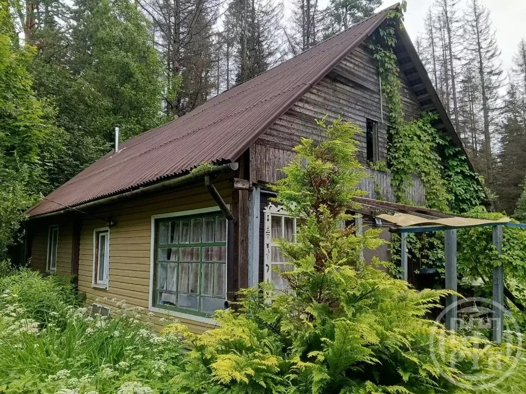 Дом в Ленинградская область, Выборгский район, Рощинское городское ... - Фото 1
