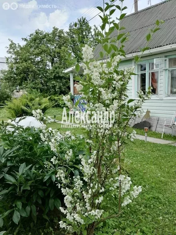 Дом в Выборгский район, Гончаровское сельское поселение, СНТ ... - Фото 0