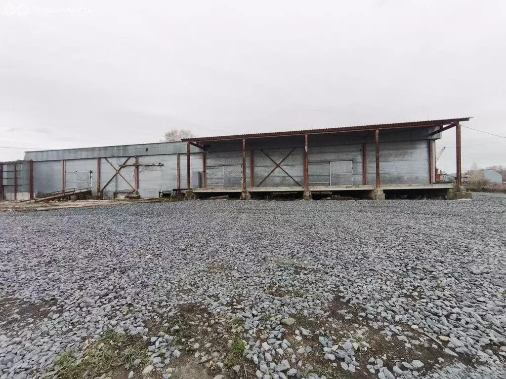 Склад (925 м) - Фото 2