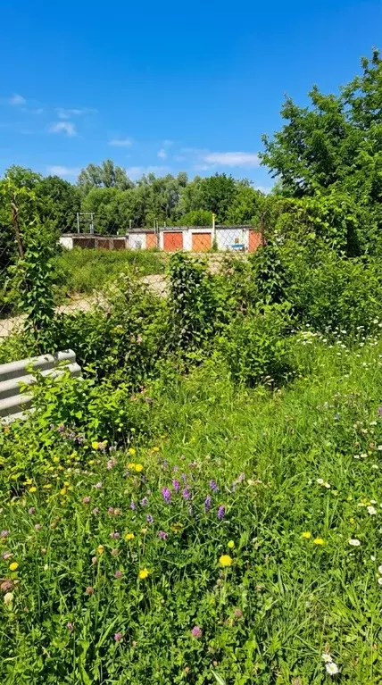 Участок в Приморский край, Артемовский городской округ, с. Суражевка ... - Фото 2