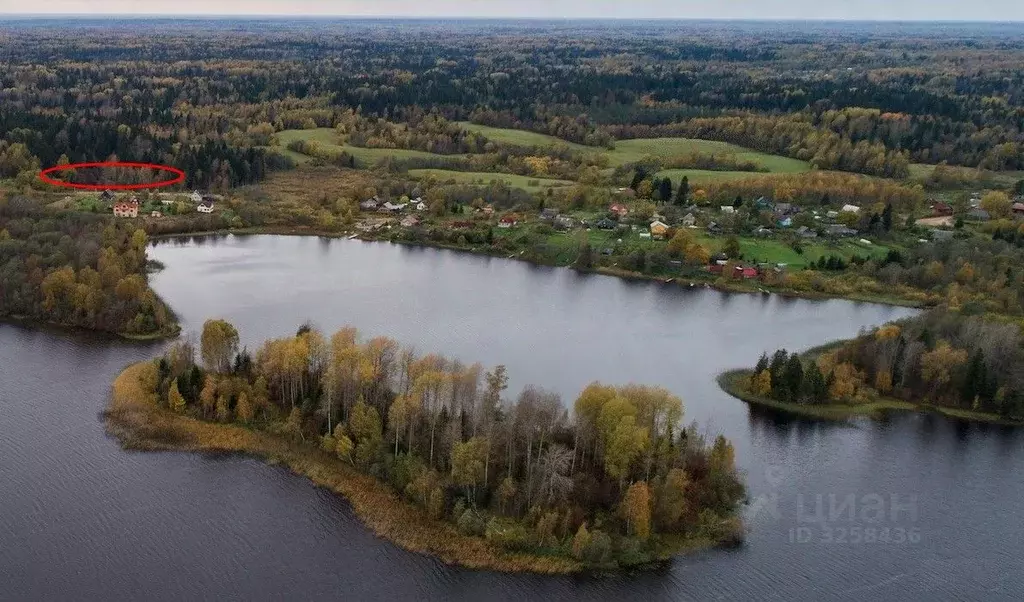 Участок в Новгородская область, Валдайский район, Костковское с/пос, ... - Фото 0