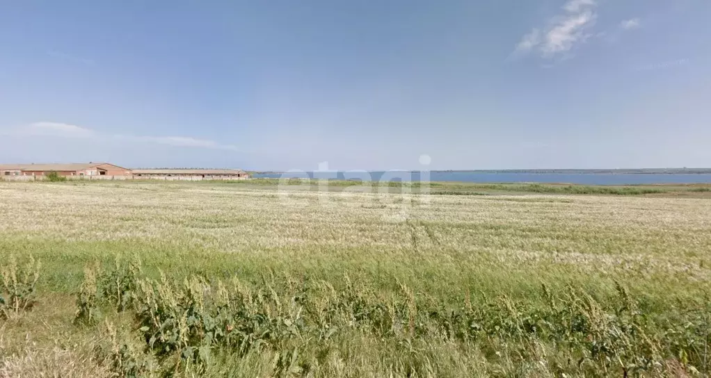 Участок в Краснодарский край, Темрюкский район, Сенное с/пос, пос. ... - Фото 2