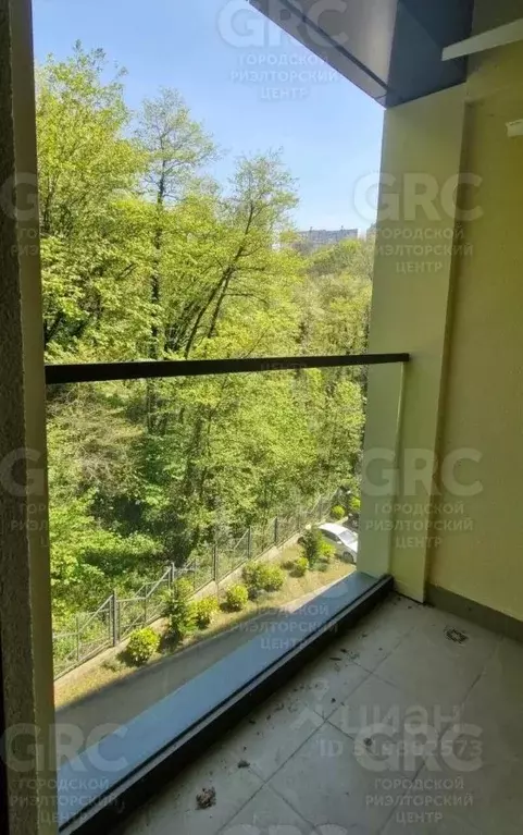 Студия Краснодарский край, Сочи Пластунская ул., 104А (25.64 м) - Фото 0