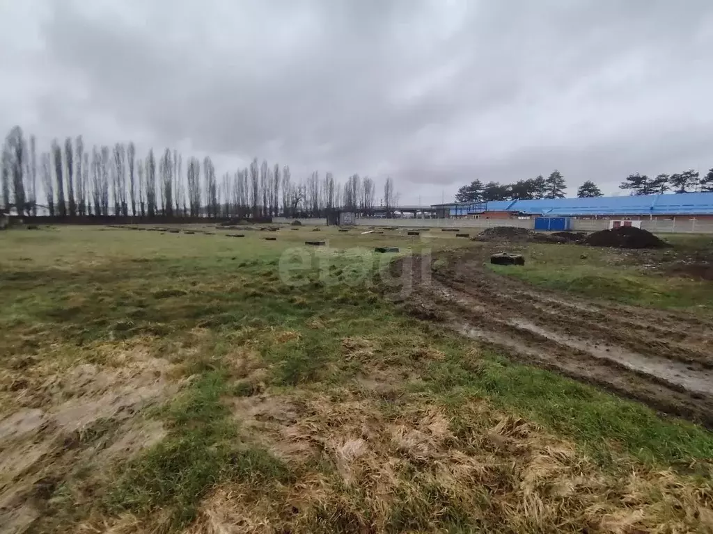 Склад в Адыгея, Майкоп Промышленная ул., 8Бстр2 (1747 м) - Фото 1