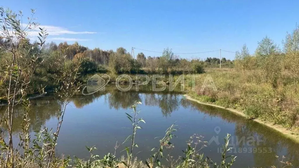 Участок в Тюменская область, Нижнетавдинский район, Царицыно СНТ  (9.3 ... - Фото 1