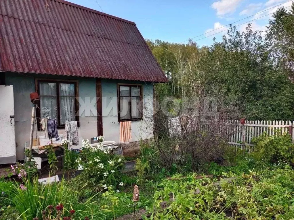 Дом в Новосибирская область, Мошковский район, с. Сокур  (30 м) - Фото 0
