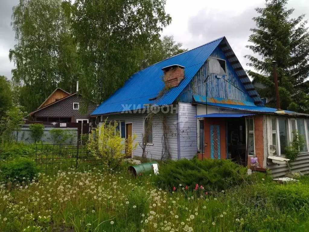 Участок в Новосибирская область, Новосибирский район, Раздольненский ... - Фото 1