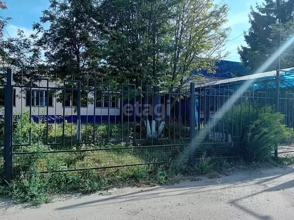 Торговая площадь в Белгородская область, Красногвардейский район, ... - Фото 2