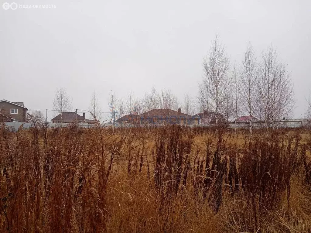 Участок в Богородск, Рябиновая улица, 45 (10 м) - Фото 2